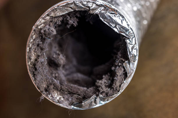 Best HVAC Maintenance and Cleaning  in Utica, SC