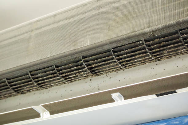 Best Affordable Air Duct Cleaning  in Utica, SC